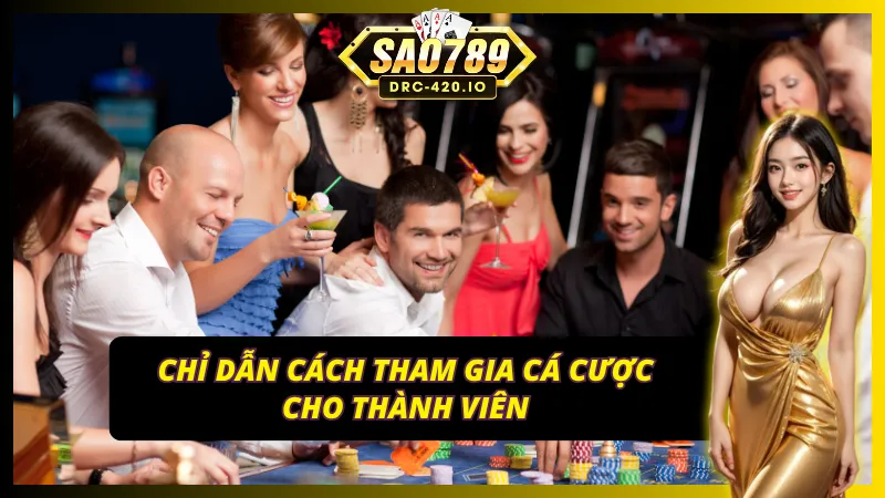 Miễn trừ trách nhiệm SAO789 hỗ trợ các thành viên